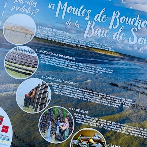 SET de Table de la BAIE de SOMME